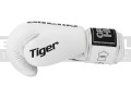 BGT-2010-EU3-green-hill-boxing-gloves-tiger-limited-edition-white-3.jpg
