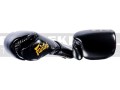 BGVG1-fairtex-gloves-glory-black-5.jpg