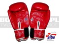 BGT-2010AA-green-hill-tiger-AIBA-red-3.jpg