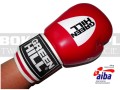 BGT-2010AA-green-hill-tiger-AIBA-red-5.jpg