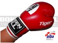 BGT-2010AA-green-hill-tiger-AIBA-red-6.jpg