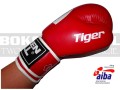 BGT-2010AA-green-hill-tiger-AIBA-red-7.jpg