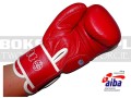 BGT-2010AA-green-hill-tiger-AIBA-red-8.jpg
