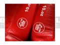 BGT-2010AA-green-hill-tiger-AIBA-red-10.jpg