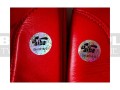 BGT-2010AA-green-hill-tiger-AIBA-red-11.jpg