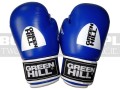 BGT-2010AA-green-hill-tiger-AIBA-blue-4.jpg
