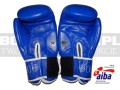 BGT-2010AA-green-hill-tiger-AIBA-blue-3.jpg