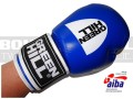 BGT-2010AA-green-hill-tiger-AIBA-blue-6.jpg