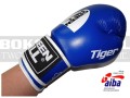 BGT-2010AA-green-hill-tiger-AIBA-blue-7.jpg