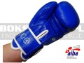 BGT-2010AA-green-hill-tiger-AIBA-blue-9.jpg