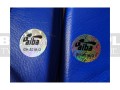 BGT-2010AA-green-hill-tiger-AIBA-blue-13.jpg