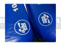 BGT-2010AA-green-hill-tiger-AIBA-blue-14.jpg