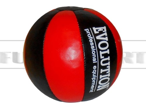 TR-evolution-medical-ball-leather-F.jpg