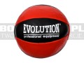 TR-evolution-medical-ball-leather-6.jpg