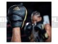 ADIPFP01-adidas-adistar-pro-focus-mitts-black-gold-12.jpg