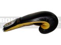 montana-victory-black-gold-6.jpg