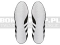 FX0561-box-hog-2-black-white-5.jpg