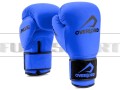overlord-gloves-rage-blue-mat-F.jpg