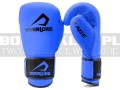 overlord-gloves-rage-blue-mat-2.jpg