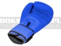 overlord-gloves-rage-blue-mat-4.jpg