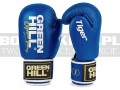 BGT-2010-EU-green-hill-boxing-gloves-tiger-blue-2.jpg
