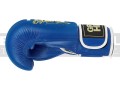 BGT-2010-EU-green-hill-boxing-gloves-tiger-blue-3.jpg