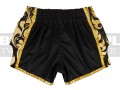 BSG1-fairtex-glory-spodenki-black-gold-5.jpg