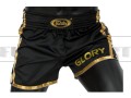 BSG1-fairtex-glory-spodenki-black-gold-F.jpg
