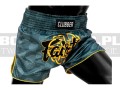 BS1915-fairtex-spodenki-clubber-turquoise-2.jpg