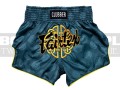 BS1915-fairtex-spodenki-clubber-turquoise-4.jpg