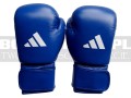 AIBAG1-adidas-gloves-approved-iba-2024-blue-2.jpg