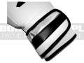 ADISBG501-adidas-gloves-speed-500-white-silver-7.jpg